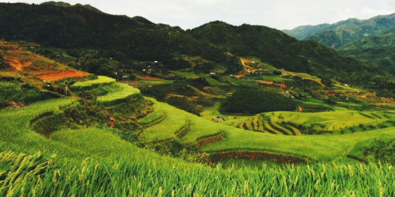 Diyarbakır sonbahar renkleriyle adeta büyülüyor